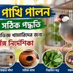 জাভা পাখি পালন.png