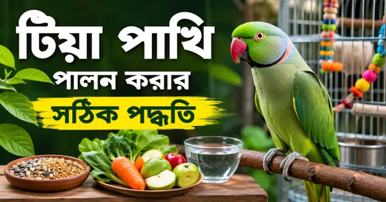 টিয়া পাখি পালন.png