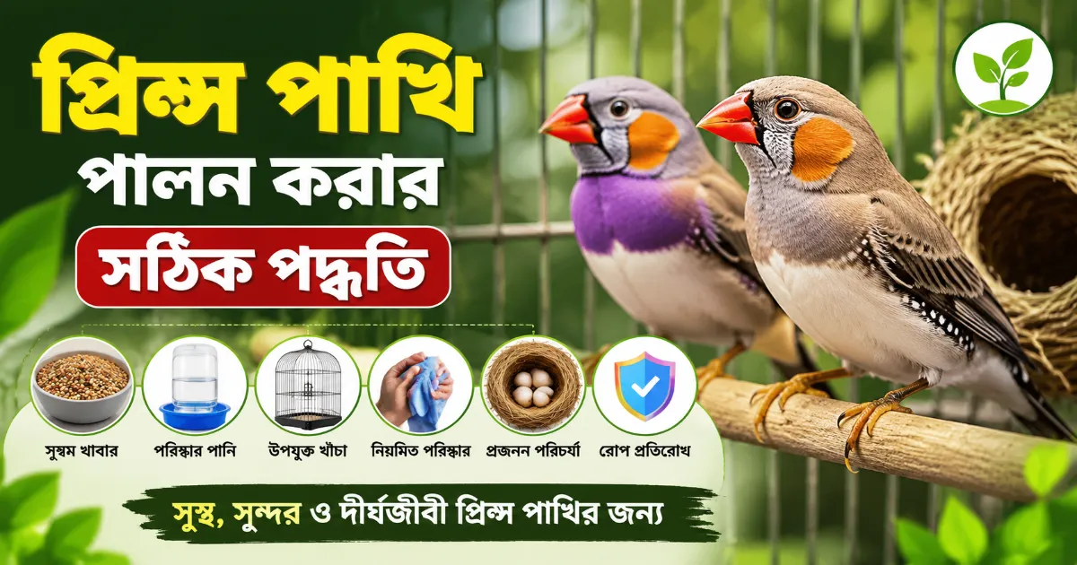 প্রিন্স পাখি পালন.png