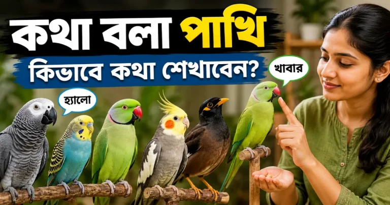 কথা বলা পাখি.png