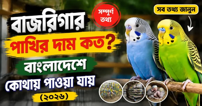 বাজরিগার পাখির দাম.png