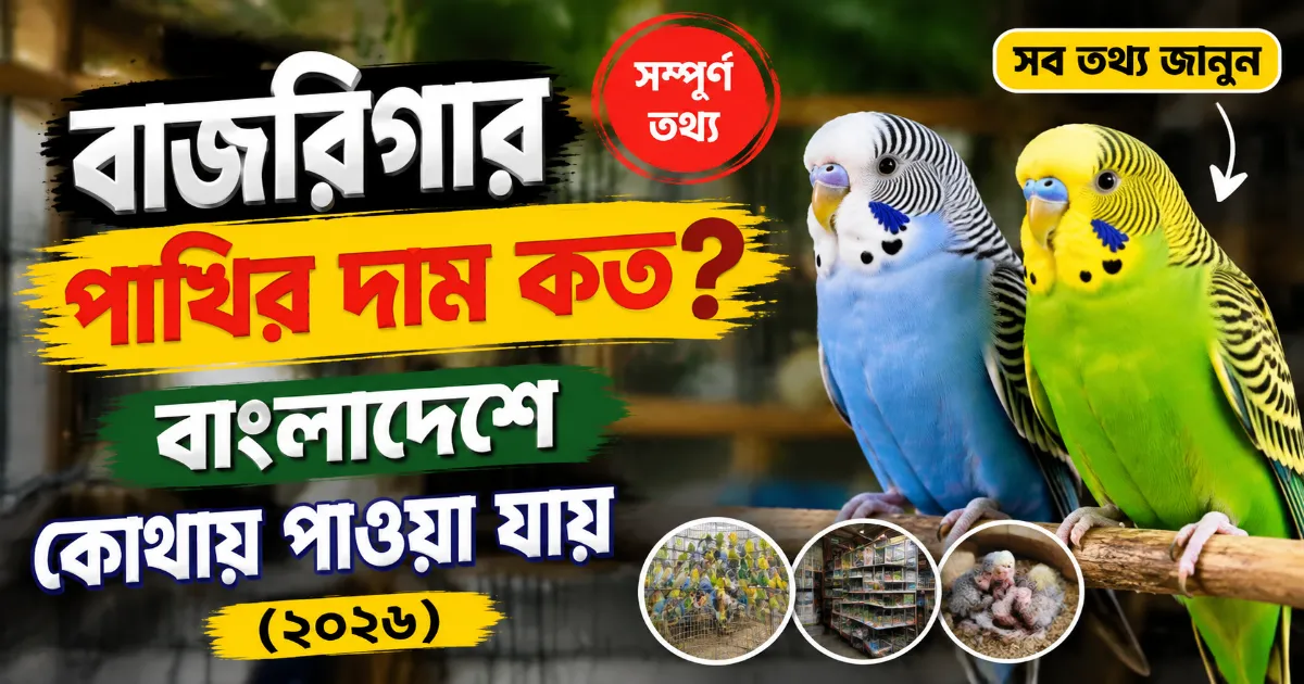 বাজরিগার পাখির দাম.png