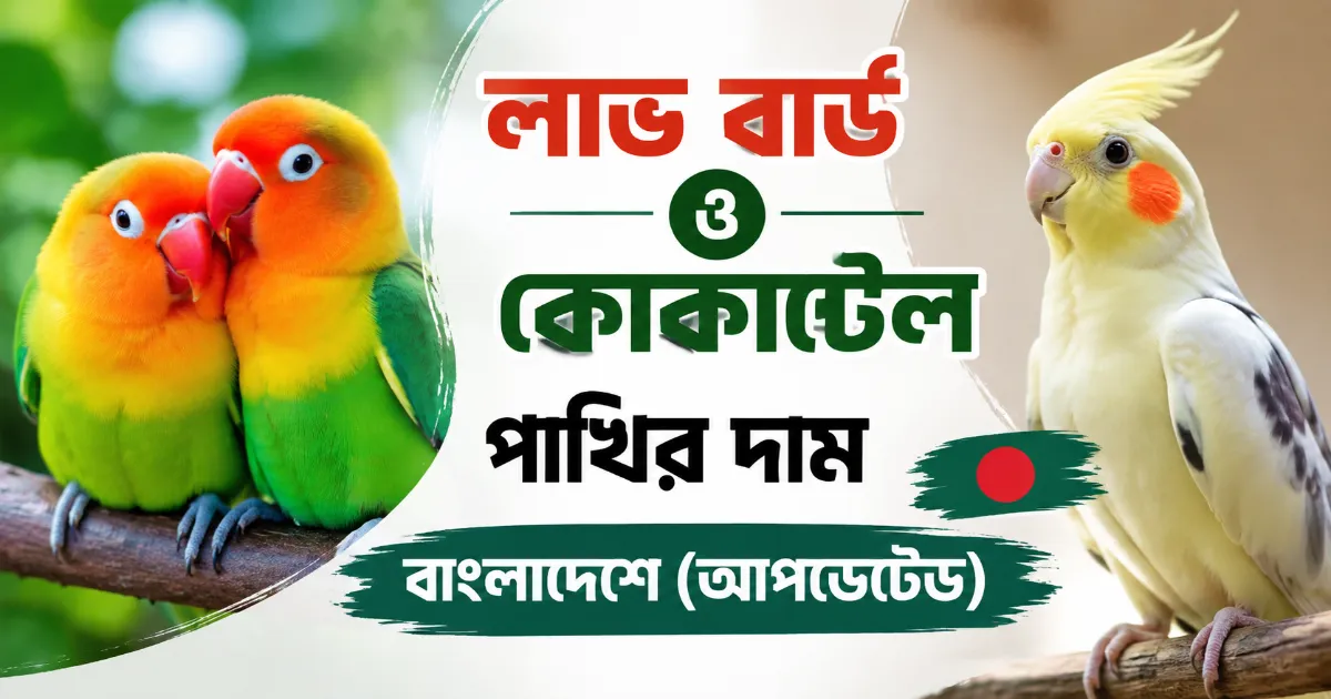 লাভ বার্ড ও কোকাটেল পাখির দাম.png