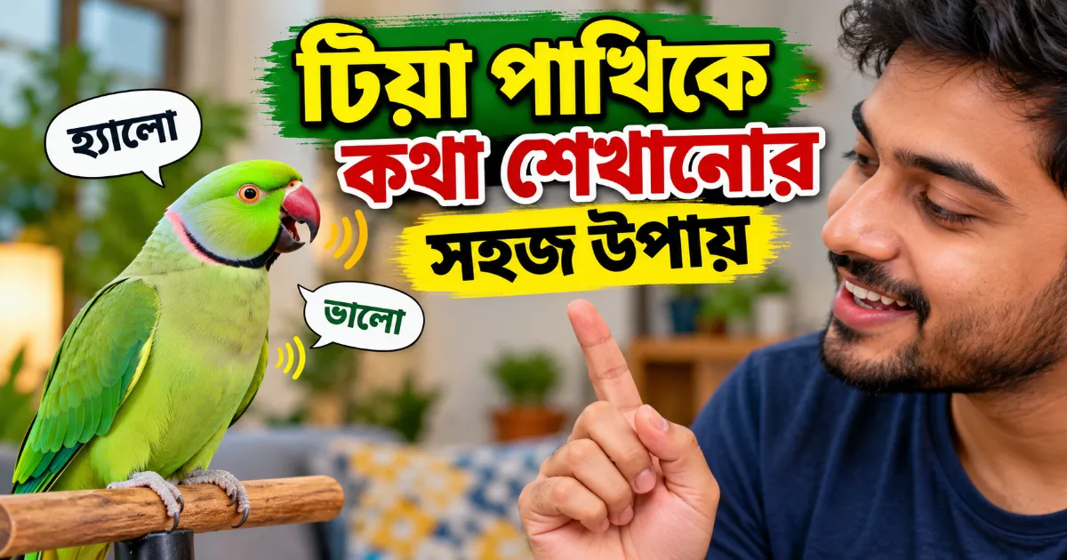 টিয়া পাখিকে কথা শেখানো.png