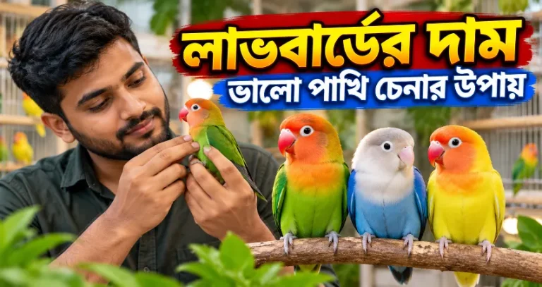 লাভবার্ডের দাম.png